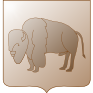 Bison