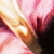 1994-330
