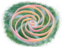 spirale2